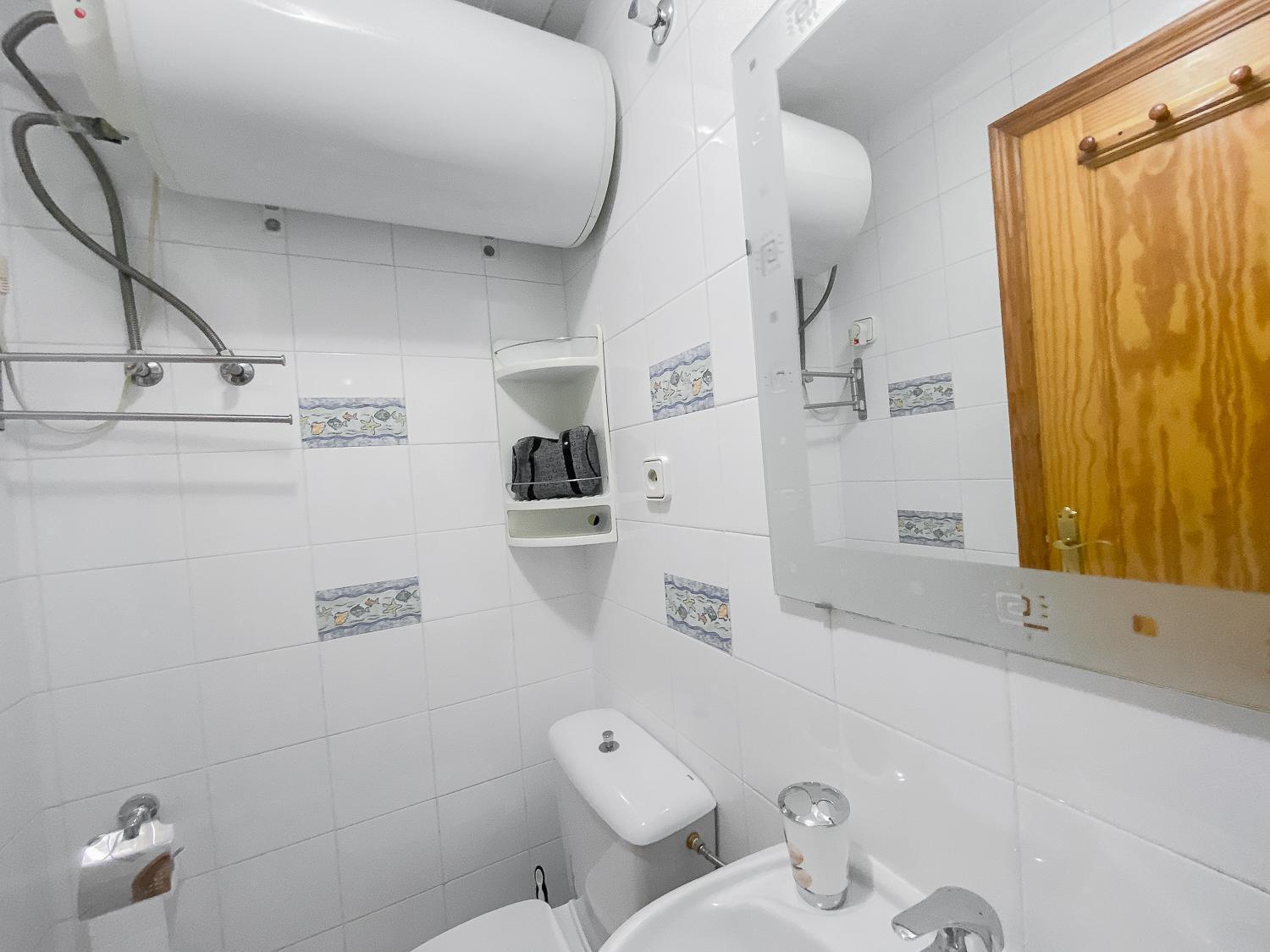 Estudio Plaza San Cristobal Appartement Alicante Buitenkant foto